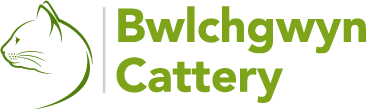 Cat boarding facility | Bwlchgwyn Cattery